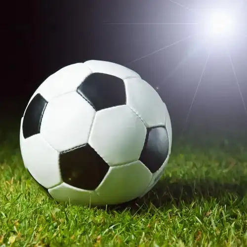 14场胜负彩数据界面展示